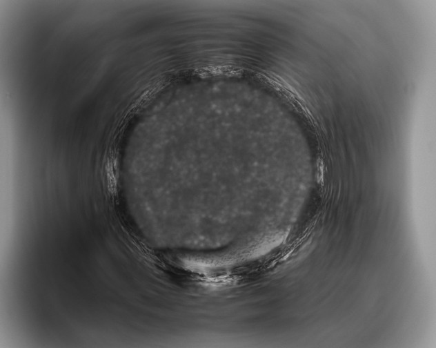 X0000095950915200802081254