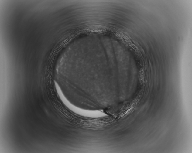 X0000095950916200802081254