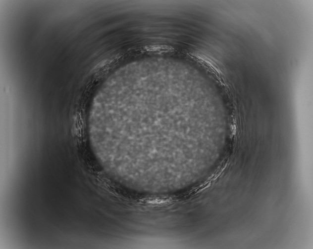 X0000095950917200802081254