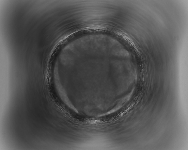 X0000095950920200802081254