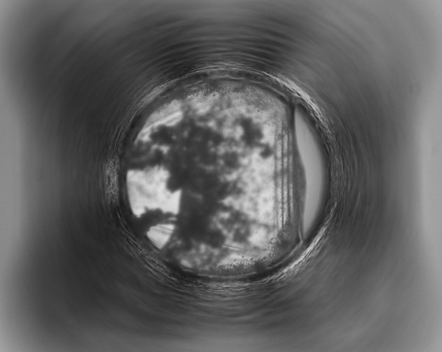 X0000095950921200802081254