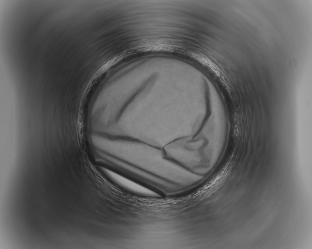 X0000095950922200802081254