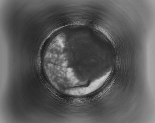 X0000095950923200802081254