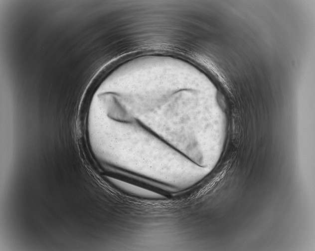 X0000095950924200802081254