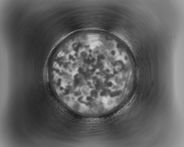 X0000095950925200802081254