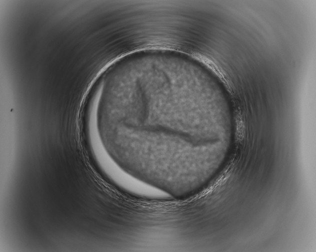 X0000095950926200802081254