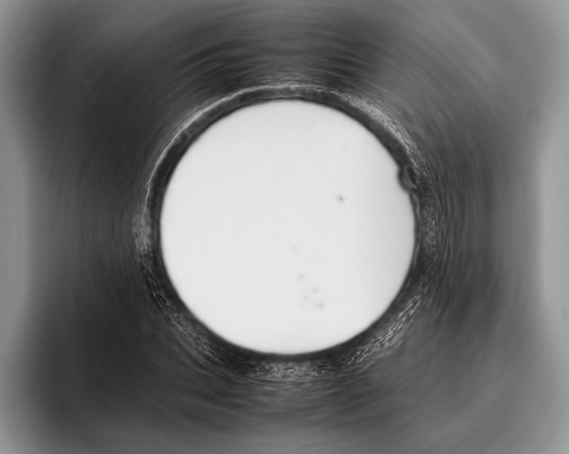 X0000095950927200802081254