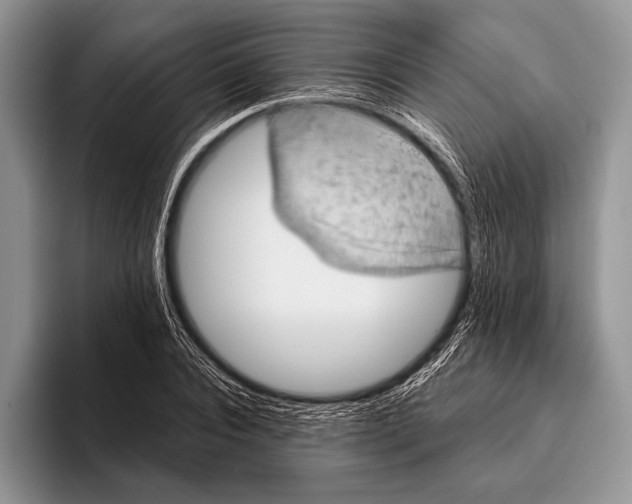 X0000095950928200802081254