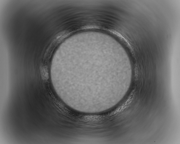 X0000095950929200802081254