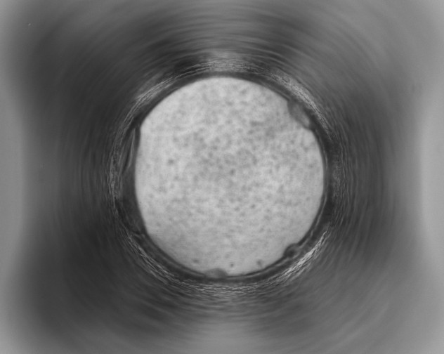 X0000095950930200802081254