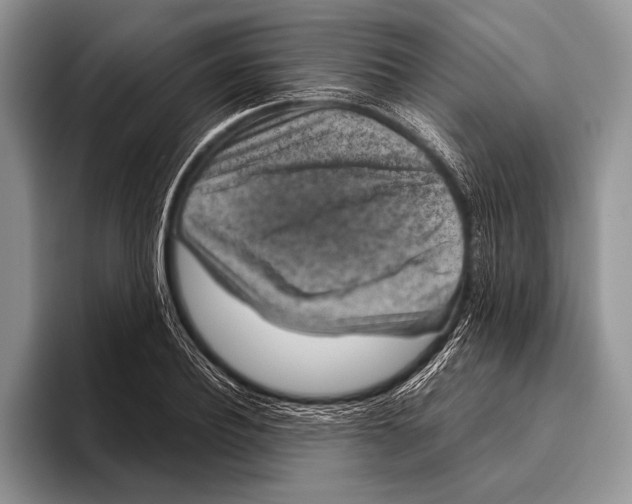 X0000095950932200802081254