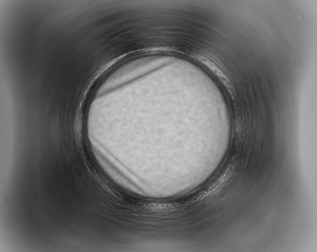 X0000095950933200802081254