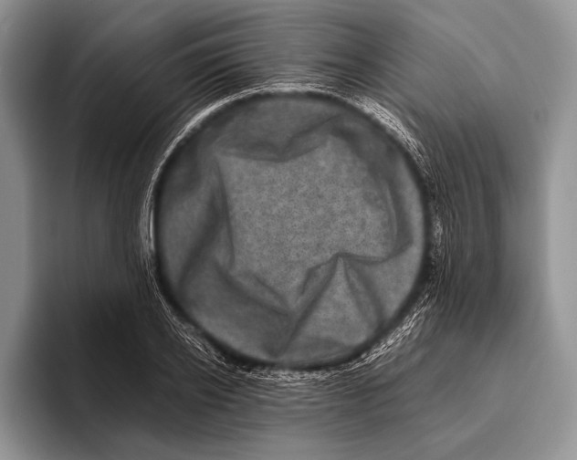 X0000095950934200802081254