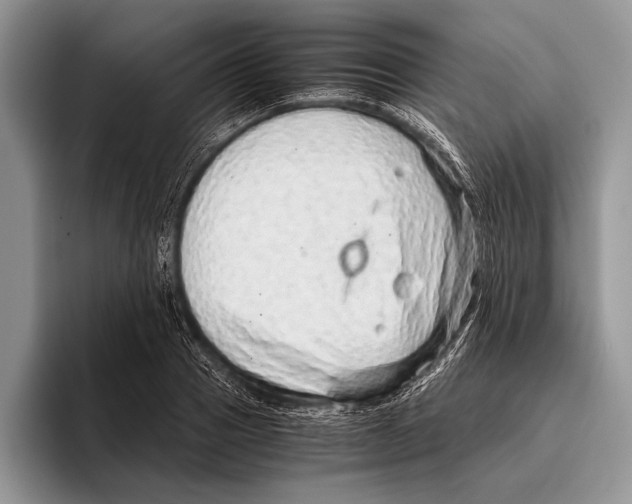 X0000095950937200802081254