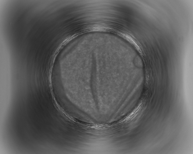 X0000095950938200802081254