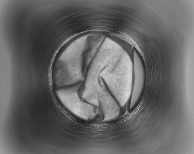 X0000095950939200802081254