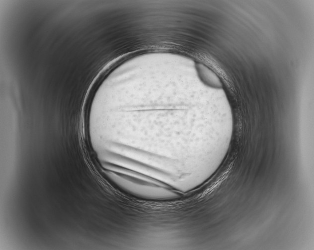 X0000095950940200802081254