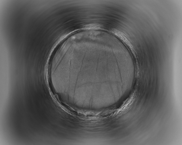 X0000095950941200802081254