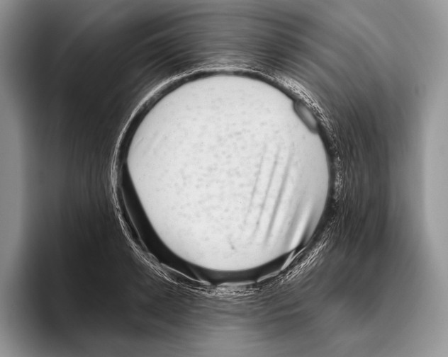 X0000095950942200802081254