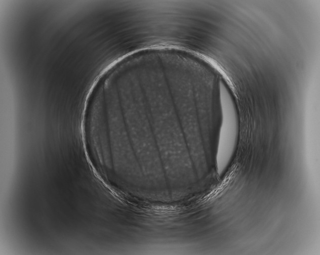 X0000095950943200802081254