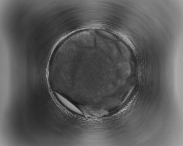 X0000095950944200802081254