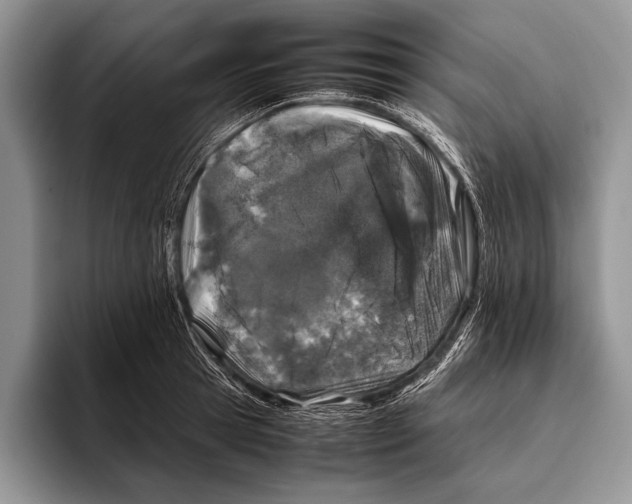 X0000095950945200802081254