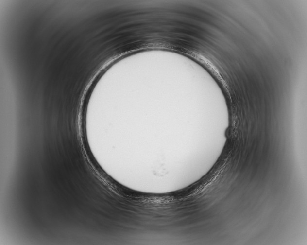 X0000095950947200802081254