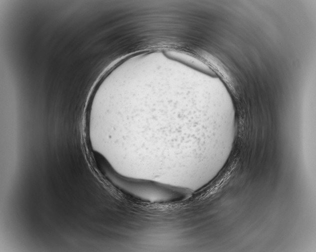 X0000095950948200802081254