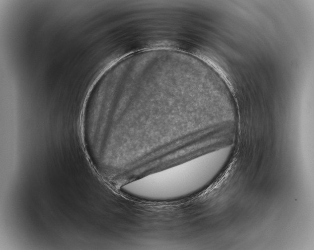 X0000095950949200802081254