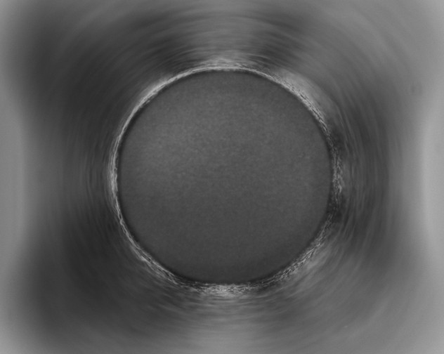 X0000095950950200802081254