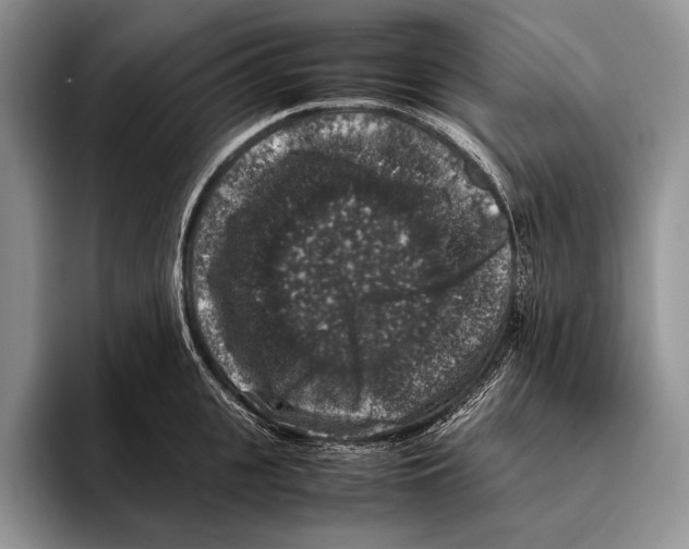 X0000095950951200802081254