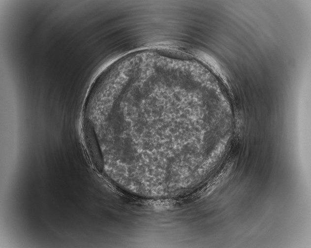 X0000095950952200802081254