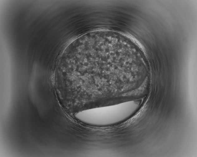 X0000095950953200802081255