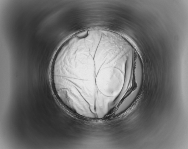 X0000095950957200802081255