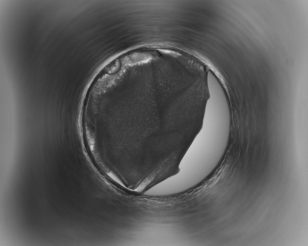 X0000095950959200802081255