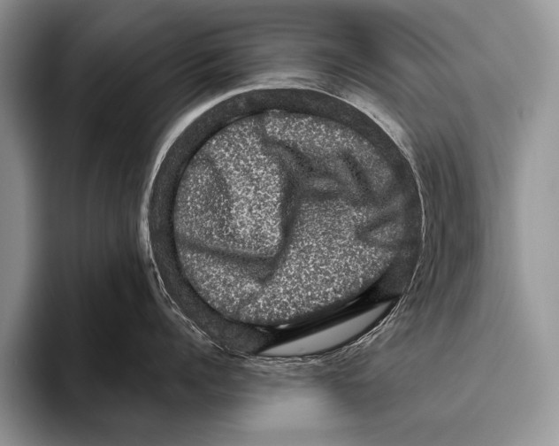 X0000095950960200802081255