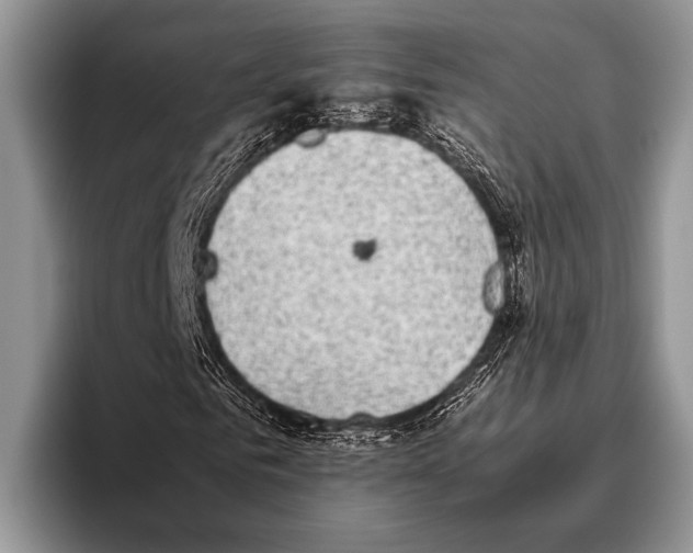 X0000095950961200802081254