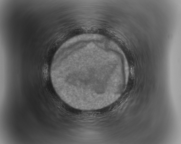 X0000095950963200802081254