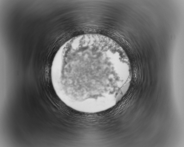 X0000095950964200802081254