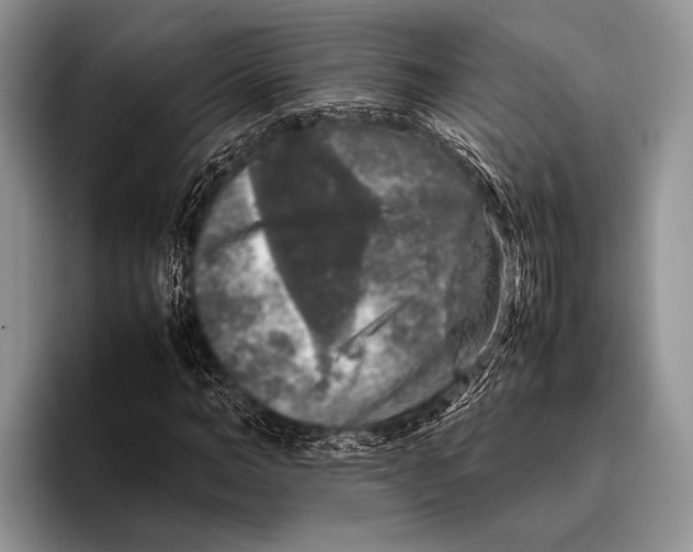 X0000095950966200802081254