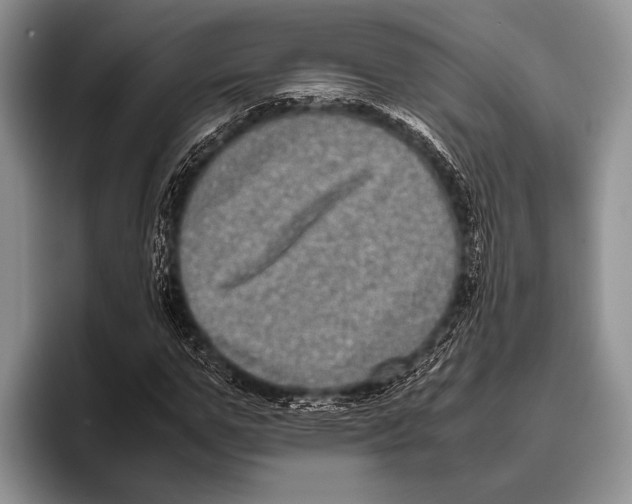 X0000095950967200802081254