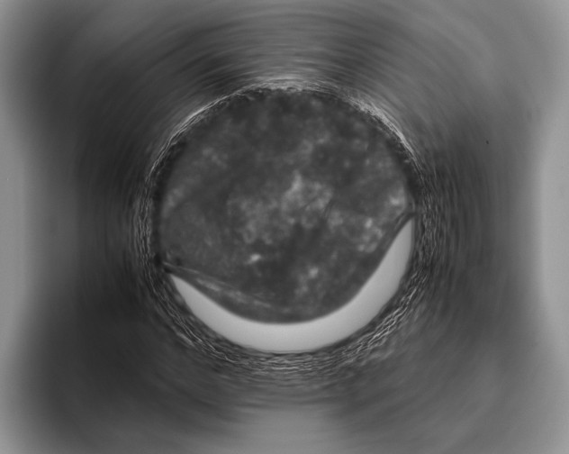 X0000095950968200802081254