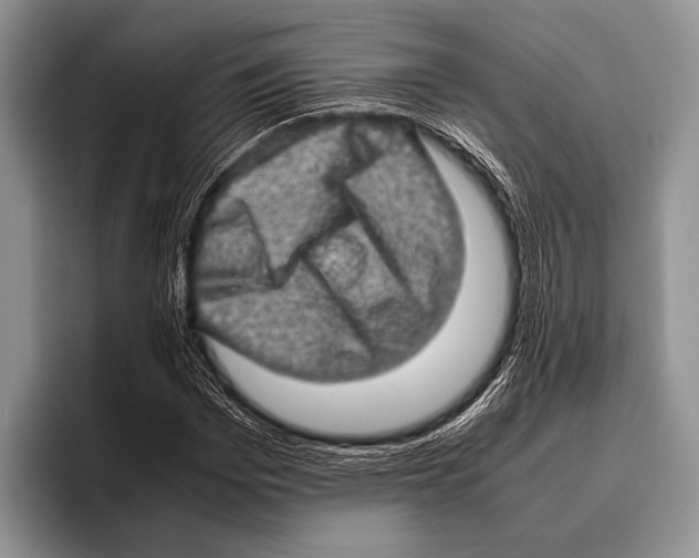 X0000095950969200802081254