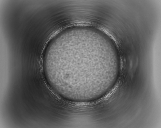 X0000095950970200802081254