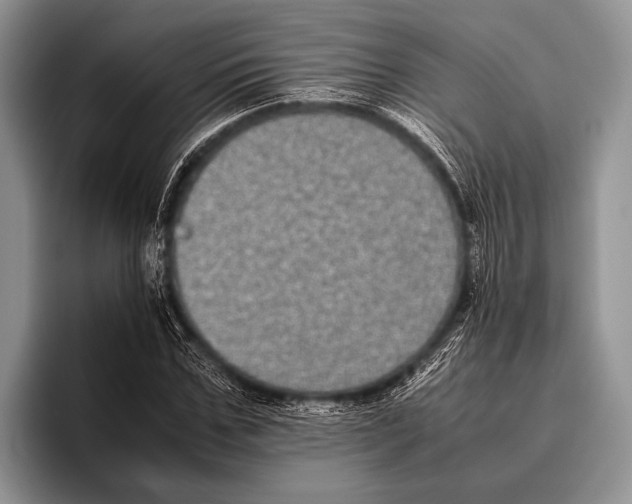 X0000095950971200802081254