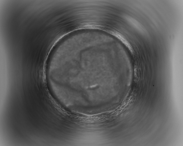 X0000095950972200802081254