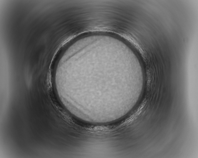 X0000095950974200802081254