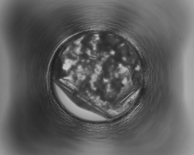 X0000095950975200802081254