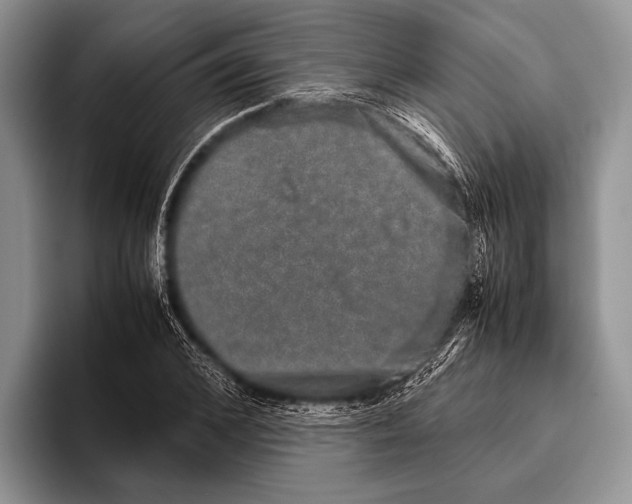 X0000095950976200802081254