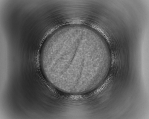 X0000095950978200802081254